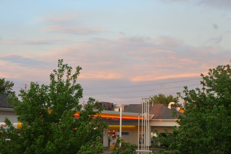 Ontdek de wereld met op maat gemaakte reizen van ons